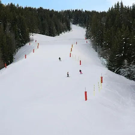 Hotel Barma Hôtel&spa Courchevel