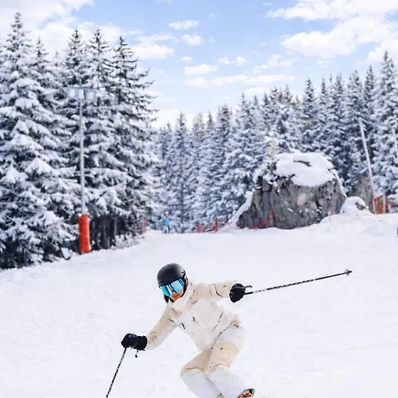 Hotel Barma Hôtel&spa Courchevel